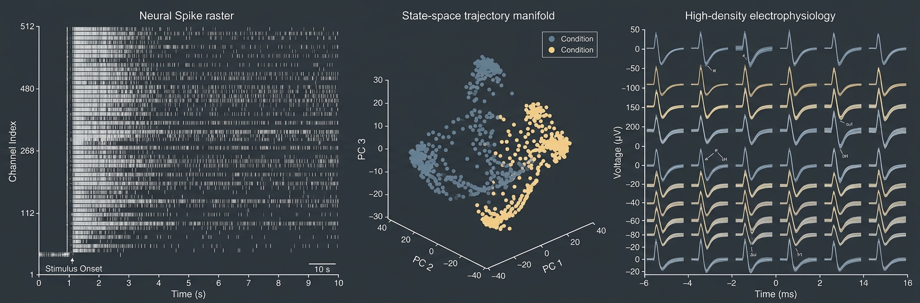 Neural Spike Raster and State-Space Trajectory Manifold
